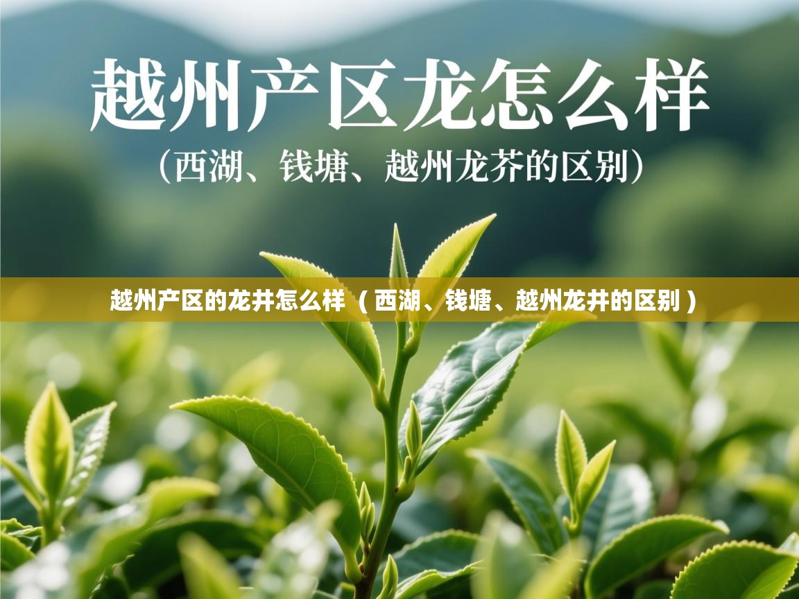越州产区的龙井怎么样 ( 西湖、钱塘、越州龙井的区别 ) 越州产区的龙井怎么样 ( 西湖、钱塘、越州龙井的区别 )