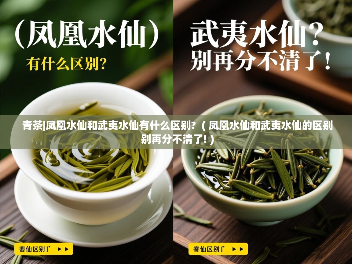  青茶|凤凰水仙和武夷水仙有什么区别?  ( 凤凰水仙和武夷水仙的区别 别再分不清了! )