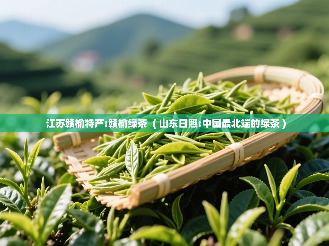  江苏赣榆特产:赣榆绿茶  ( 山东日照:中国最北端的绿茶 )