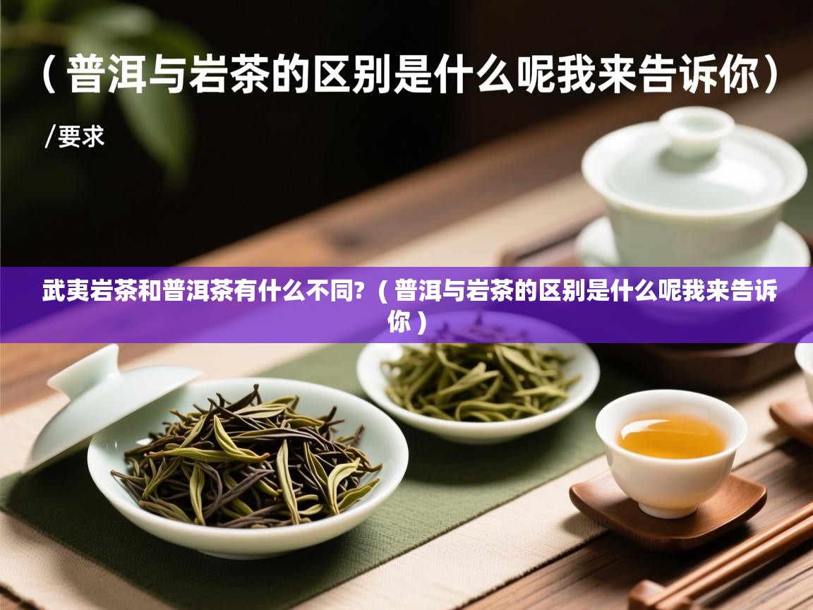  武夷岩茶和普洱茶有什么不同?  ( 普洱与岩茶的区别是什么呢我来告诉你 )