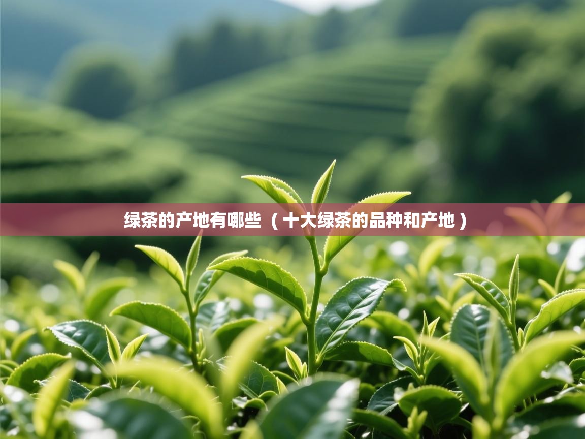  绿茶的产地有哪些  ( 十大绿茶的品种和产地 )