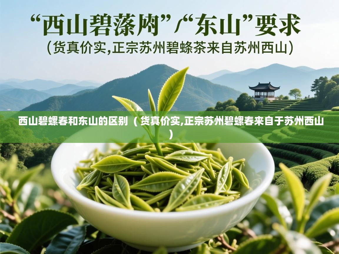 西山碧螺春和东山的区别 ( 货真价实,正宗苏州碧螺春来自于苏州西山 ) 西山碧螺春和东山的区别 ( 货真价实,正宗苏州碧螺春来自于苏州西山 )