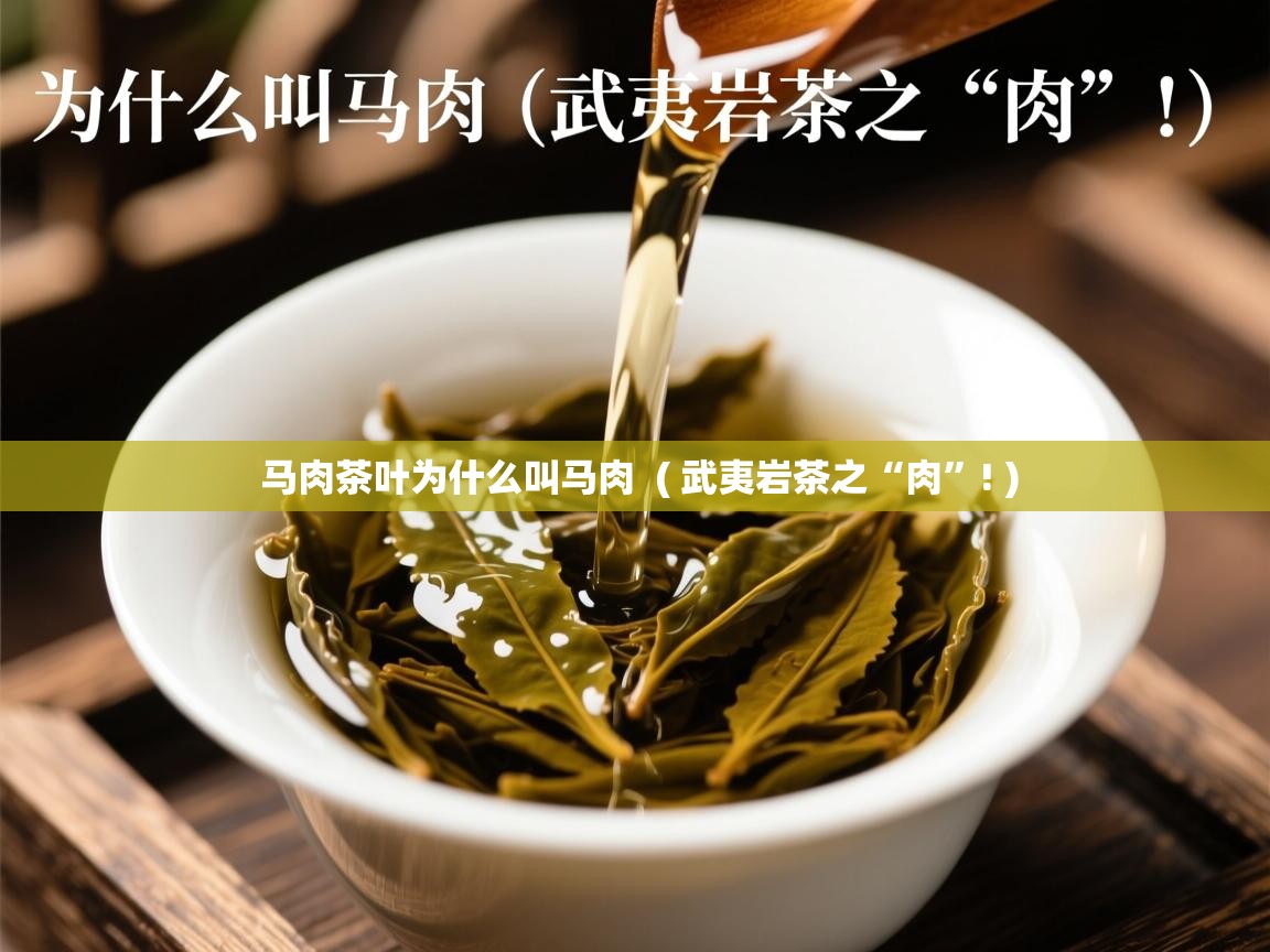  马肉茶叶为什么叫马肉  ( 武夷岩茶之“肉”! )