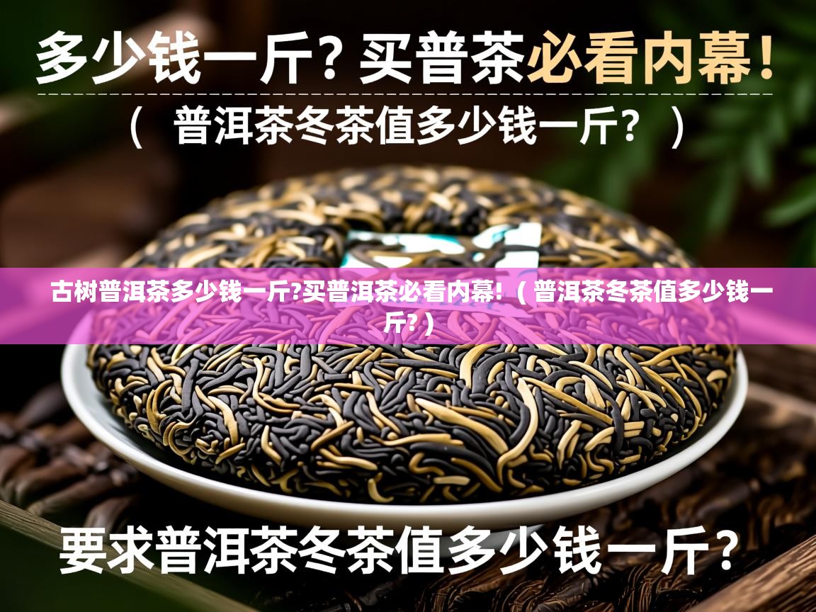古树普洱茶多少钱一斤?买普洱茶必看内幕! ( 普洱茶冬茶值多少钱一斤? ) 古树普洱茶多少钱一斤?买普洱茶必看内幕! ( 普洱茶冬茶值多少钱一斤? )