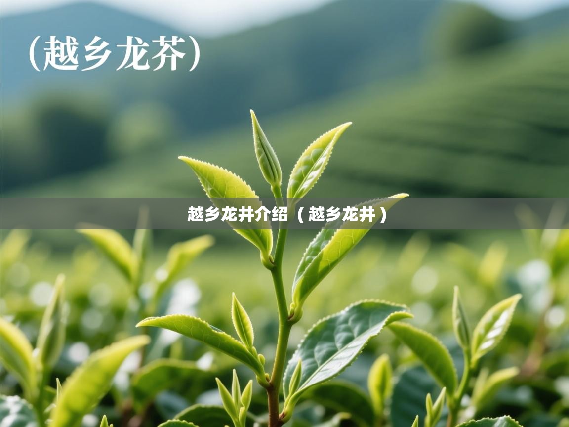 越乡龙井介绍 ( 越乡龙井 ) 越乡龙井介绍 ( 越乡龙井 )