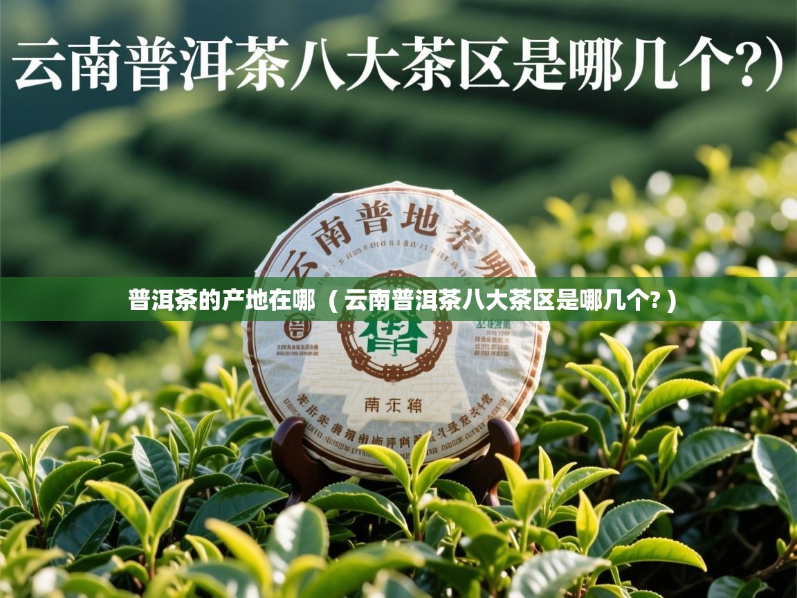 普洱茶的产地在哪 ( 云南普洱茶八大茶区是哪几个? ) 普洱茶的产地在哪 ( 云南普洱茶八大茶区是哪几个? )