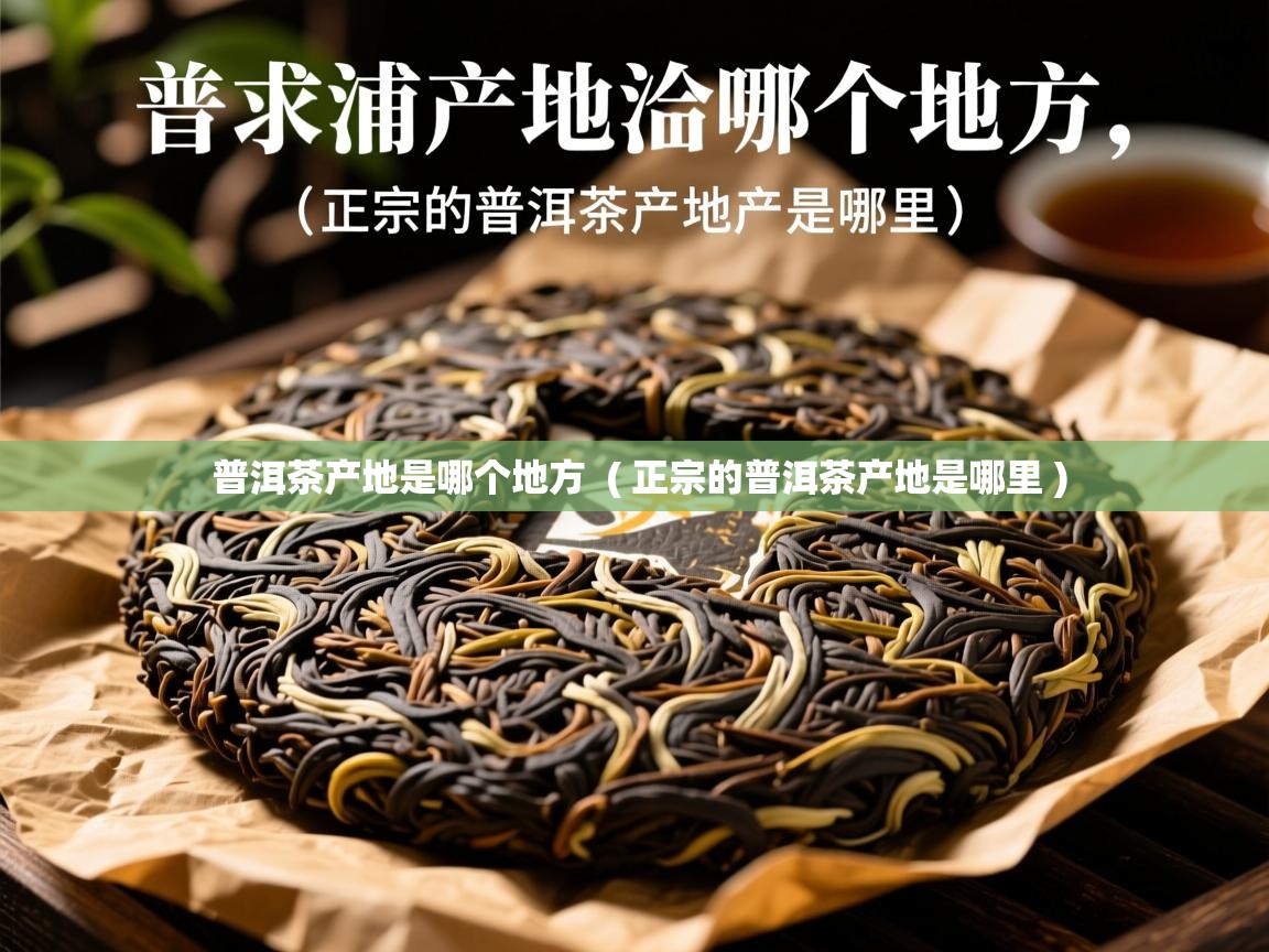普洱茶产地是哪个地方 ( 正宗的普洱茶产地是哪里 ) 普洱茶产地是哪个地方 ( 正宗的普洱茶产地是哪里 )