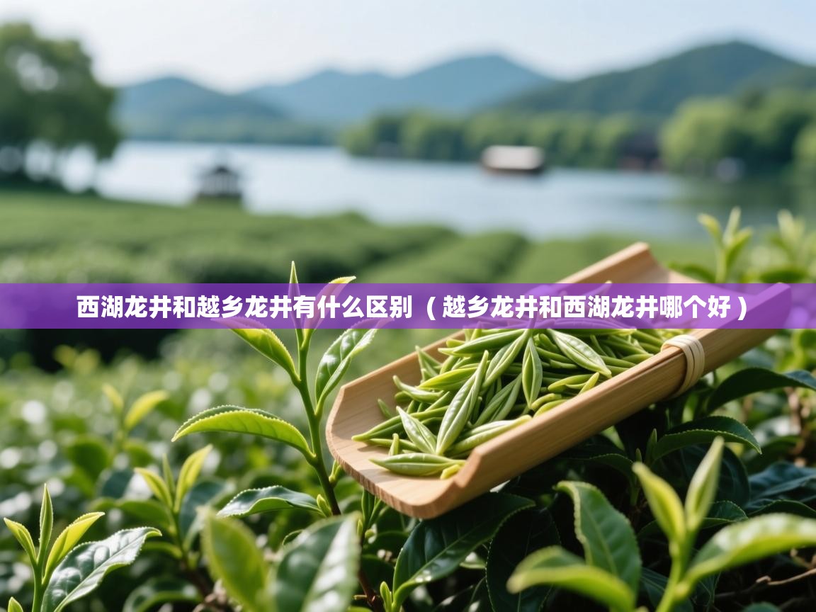 西湖龙井和越乡龙井有什么区别 ( 越乡龙井和西湖龙井哪个好 ) 西湖龙井和越乡龙井有什么区别 ( 越乡龙井和西湖龙井哪个好 )