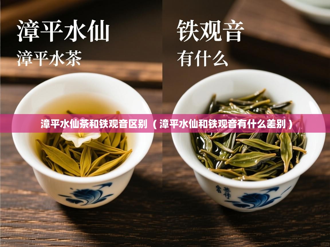  漳平水仙茶和铁观音区别  ( 漳平水仙和铁观音有什么差别 )