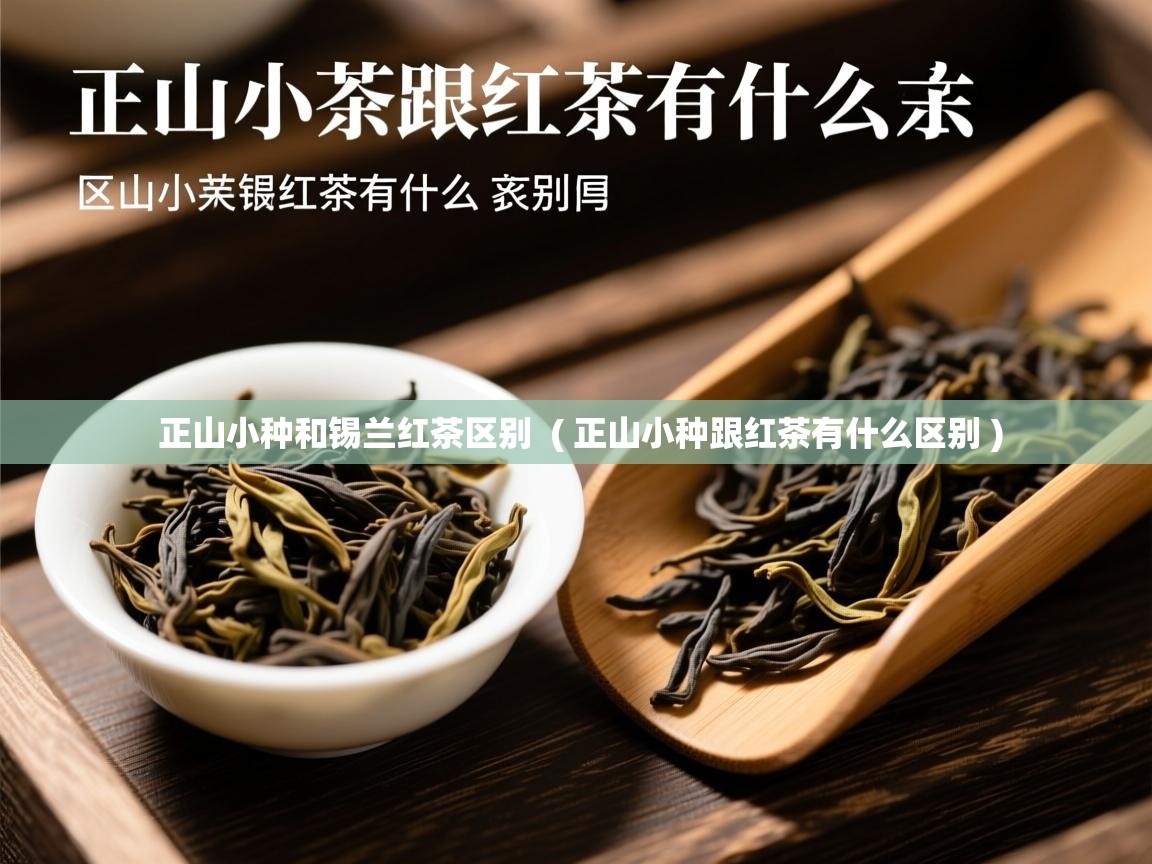 正山小种和锡兰红茶区别 ( 正山小种跟红茶有什么区别 ) 正山小种和锡兰红茶区别 ( 正山小种跟红茶有什么区别 )