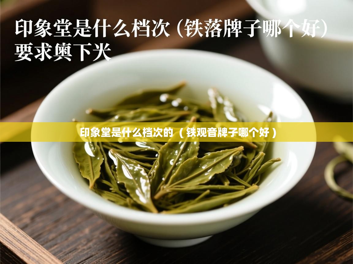 印象堂是什么档次的 ( 铁观音牌子哪个好 ) 印象堂是什么档次的 ( 铁观音牌子哪个好 )