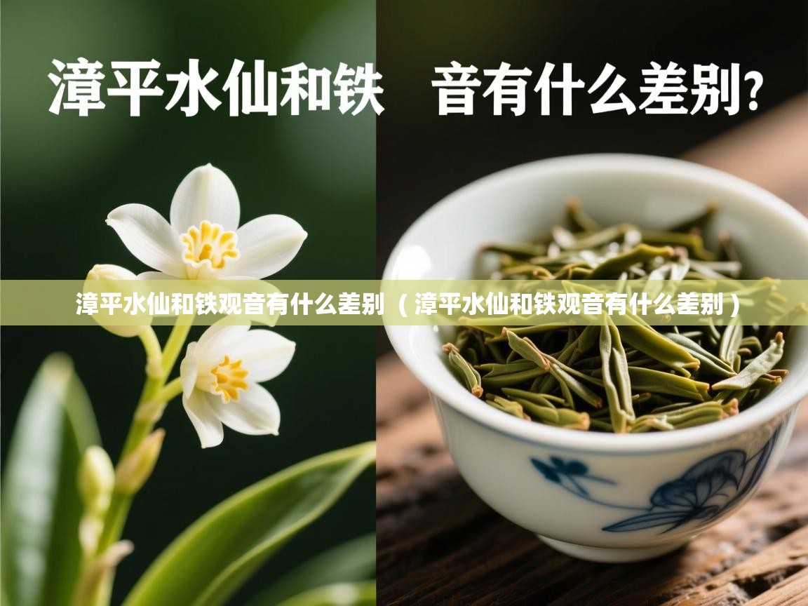  漳平水仙和铁观音有什么差别  ( 漳平水仙和铁观音有什么差别 )