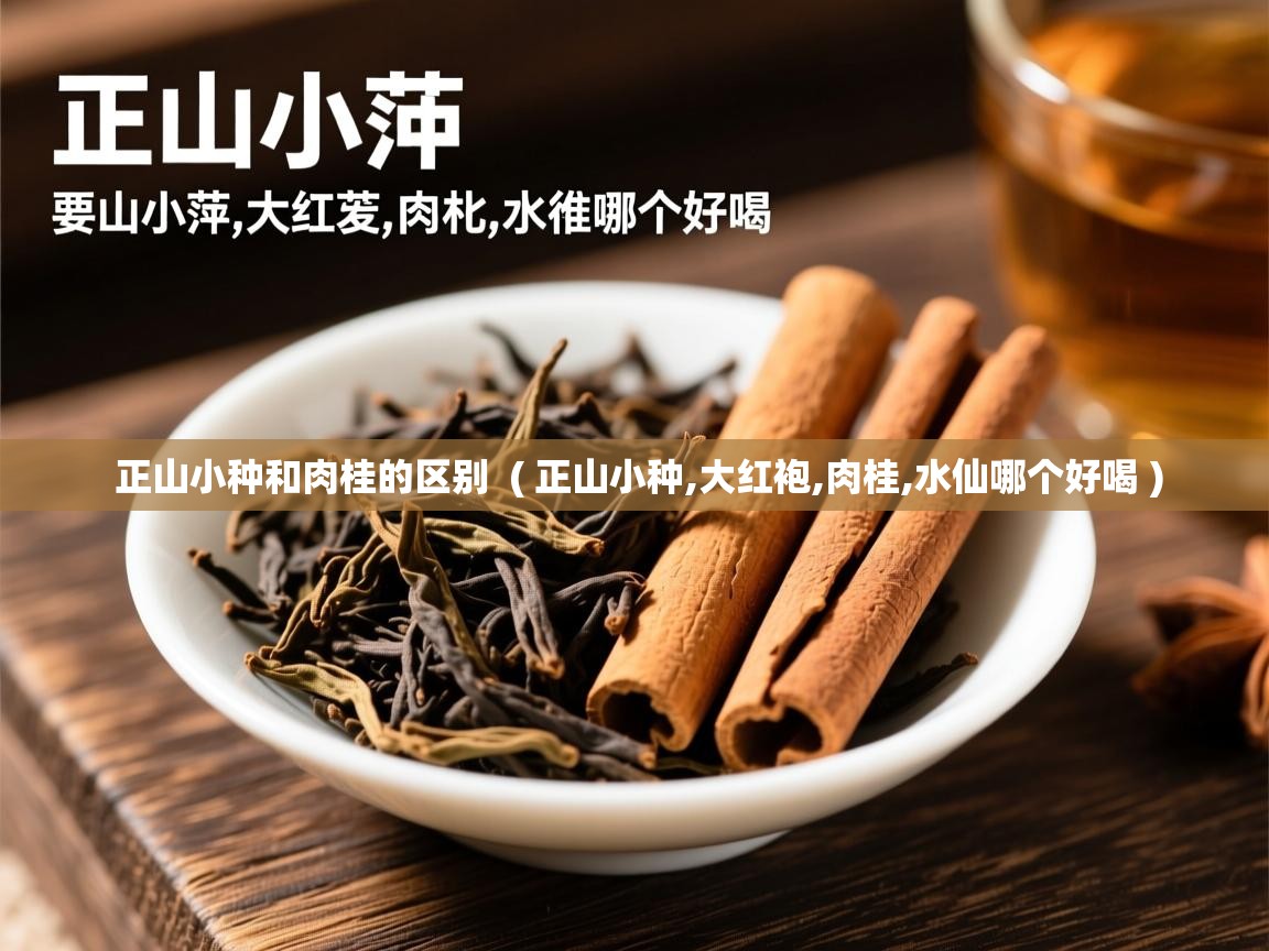  正山小种和肉桂的区别  ( 正山小种,大红袍,肉桂,水仙哪个好喝 )