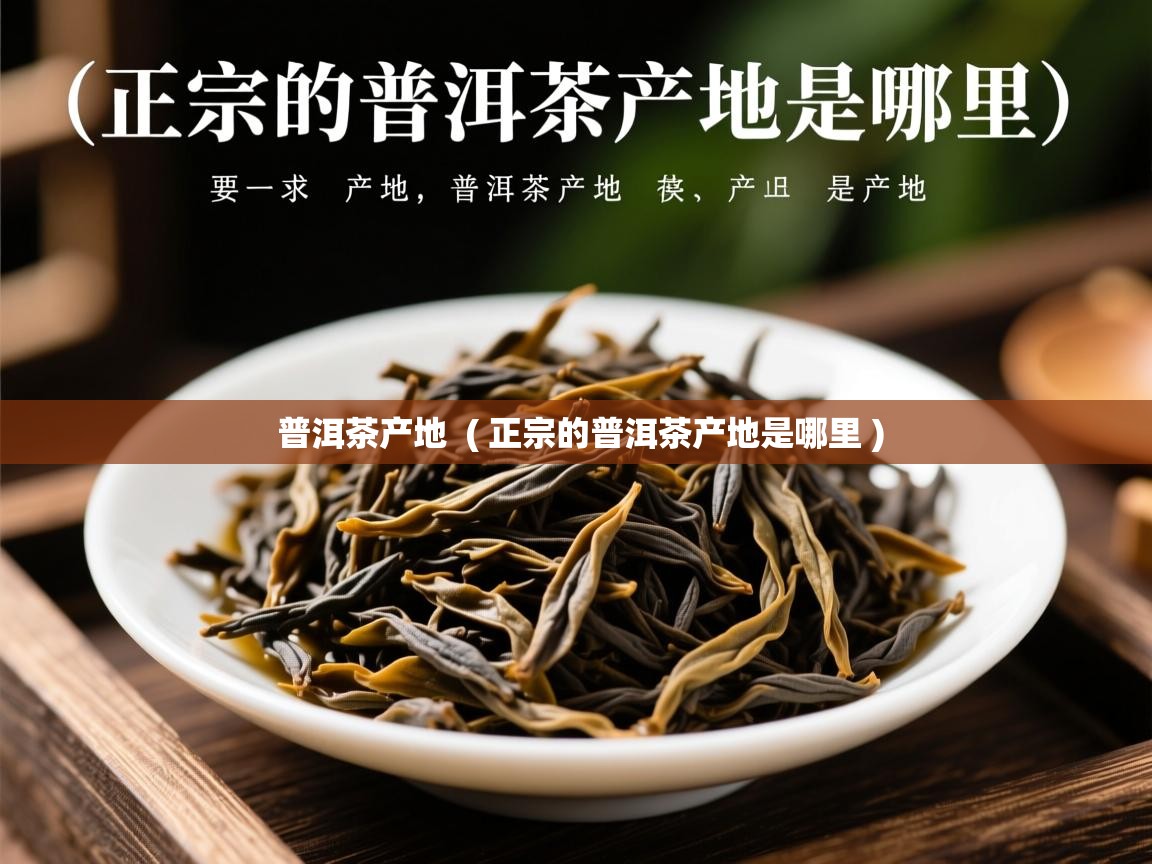 普洱茶产地 ( 正宗的普洱茶产地是哪里 ) 普洱茶产地 ( 正宗的普洱茶产地是哪里 )