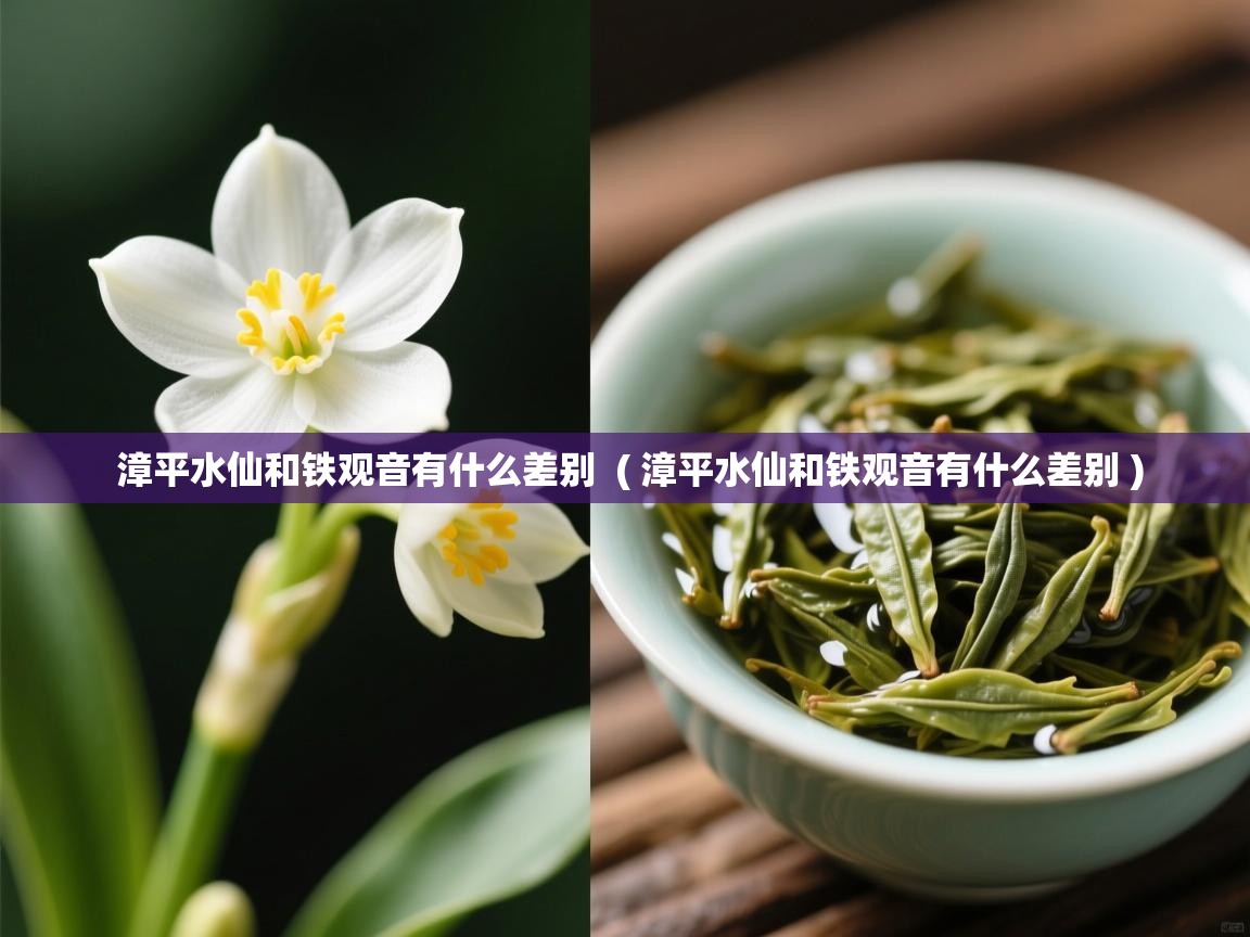  漳平水仙和铁观音有什么差别  ( 漳平水仙和铁观音有什么差别 )