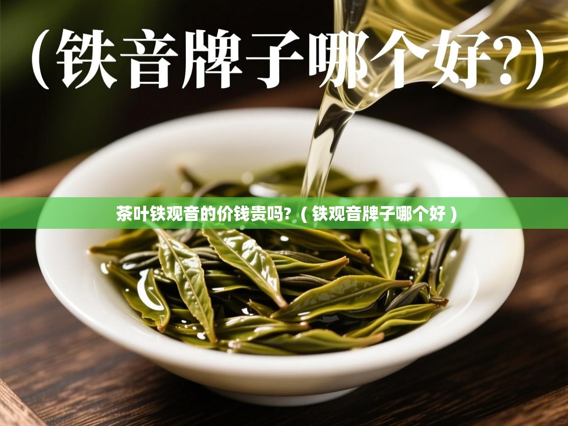  茶叶铁观音的价钱贵吗?  ( 铁观音牌子哪个好 )