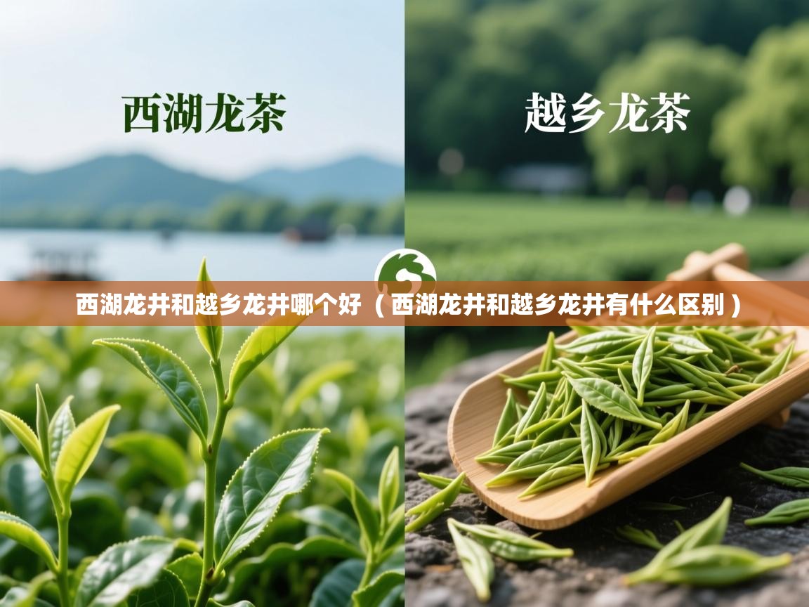 西湖龙井和越乡龙井哪个好 ( 西湖龙井和越乡龙井有什么区别 ) 西湖龙井和越乡龙井哪个好 ( 西湖龙井和越乡龙井有什么区别 )