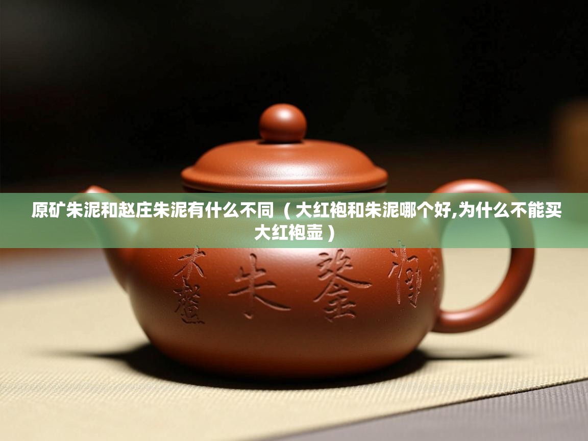 原矿朱泥和赵庄朱泥有什么不同 ( 大红袍和朱泥哪个好,为什么不能买大红袍壶 ) 原矿朱泥和赵庄朱泥有什么不同 ( 大红袍和朱泥哪个好,为什么不能买大红袍壶 )