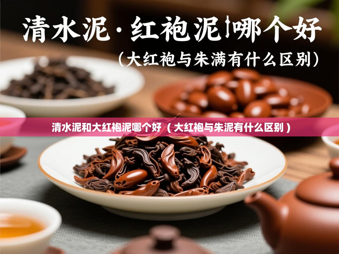  清水泥和大红袍泥哪个好  ( 大红袍与朱泥有什么区别 )
