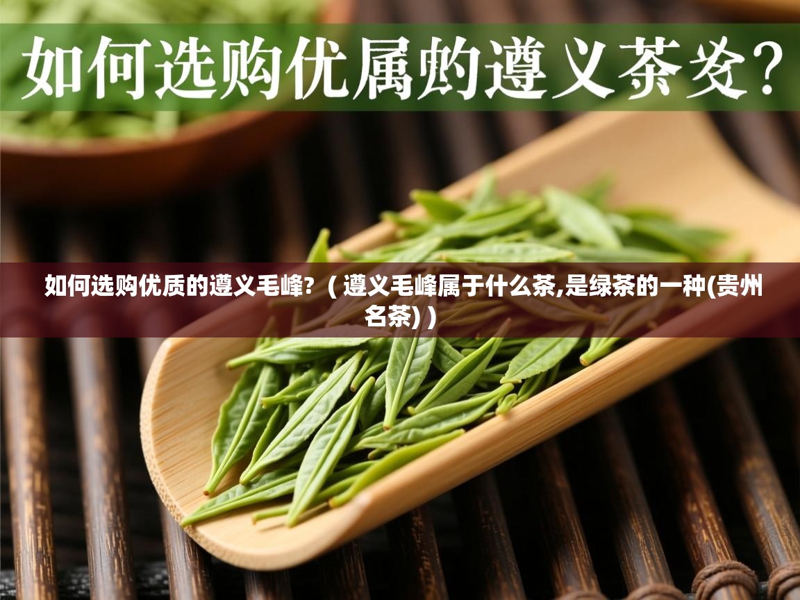  如何选购优质的遵义毛峰?  ( 遵义毛峰属于什么茶,是绿茶的一种(贵州名茶) )