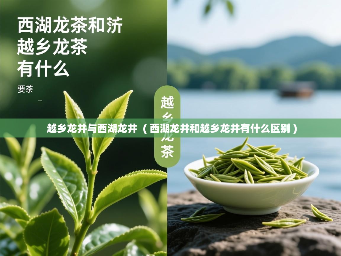  越乡龙井与西湖龙井  ( 西湖龙井和越乡龙井有什么区别 )