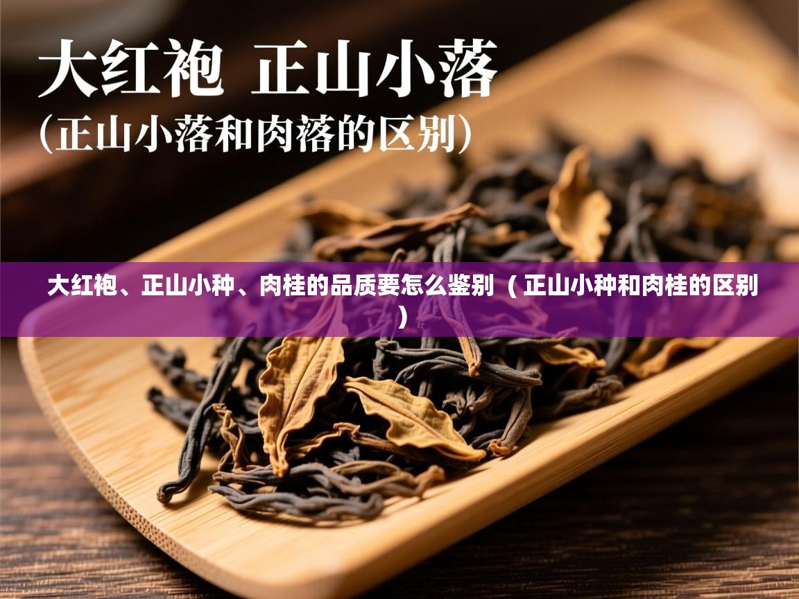 大红袍、正山小种、肉桂的品质要怎么鉴别 ( 正山小种和肉桂的区别 ) 大红袍、正山小种、肉桂的品质要怎么鉴别 ( 正山小种和肉桂的区别 )