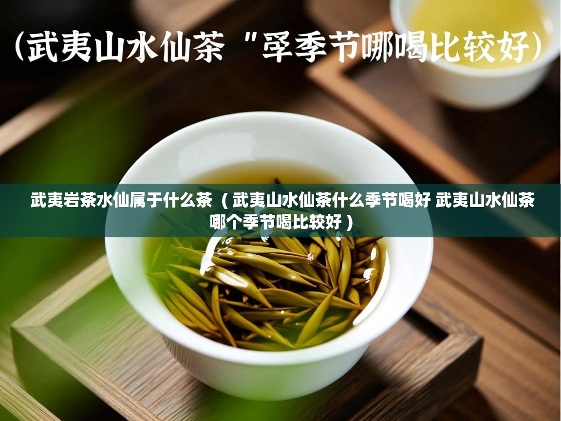 武夷岩茶水仙属于什么茶 ( 武夷山水仙茶什么季节喝好 武夷山水仙茶哪个季节喝比较好 ) 武夷岩茶水仙属于什么茶 ( 武夷山水仙茶什么季节喝好 武夷山水仙茶哪个季节喝比较好 )