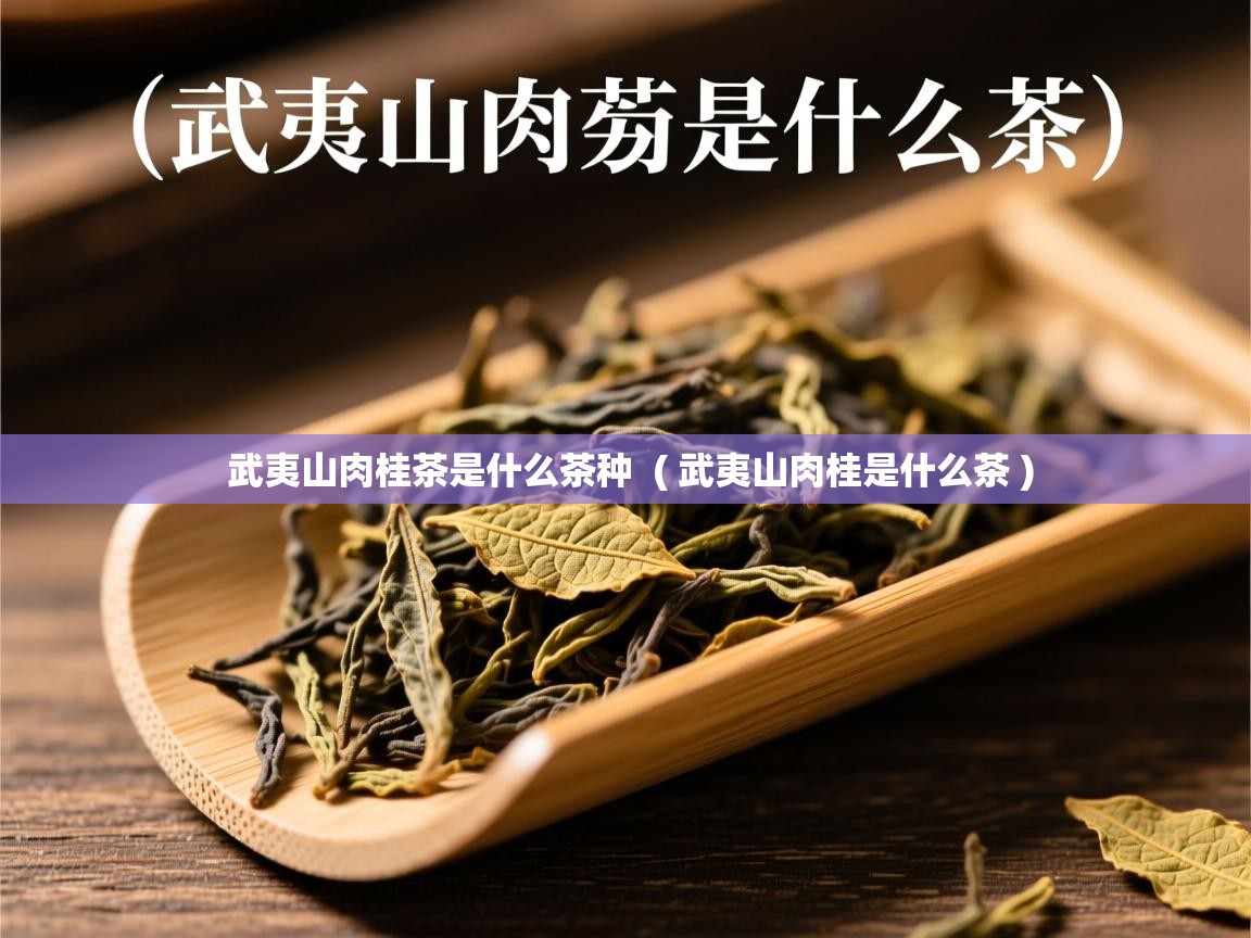 武夷山肉桂茶是什么茶种 ( 武夷山肉桂是什么茶 ) 武夷山肉桂茶是什么茶种 ( 武夷山肉桂是什么茶 )