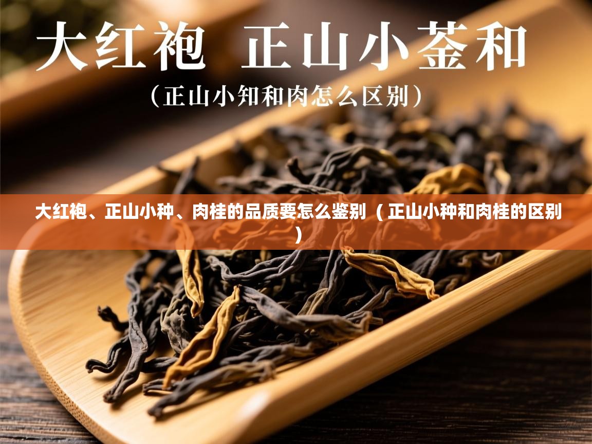 大红袍、正山小种、肉桂的品质要怎么鉴别 ( 正山小种和肉桂的区别 ) 大红袍、正山小种、肉桂的品质要怎么鉴别 ( 正山小种和肉桂的区别 )