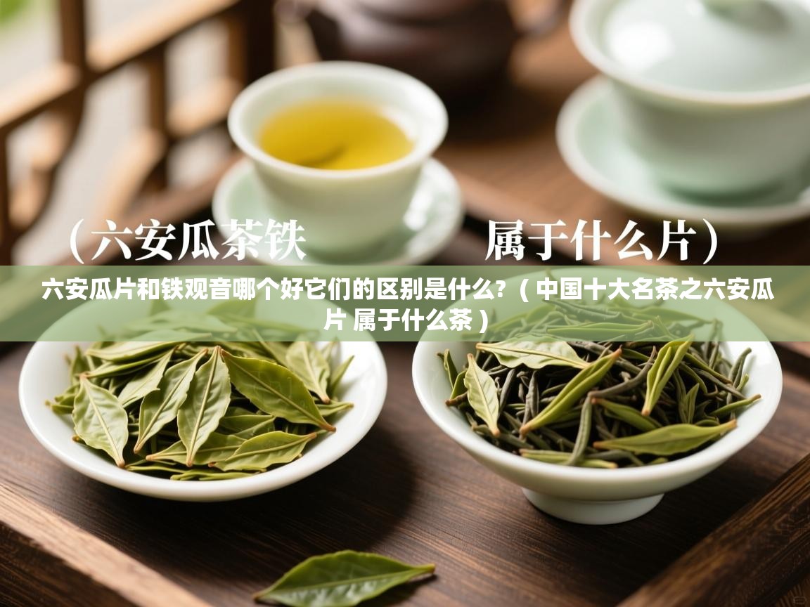  六安瓜片和铁观音哪个好它们的区别是什么?  ( 中国十大名茶之六安瓜片 属于什么茶 )