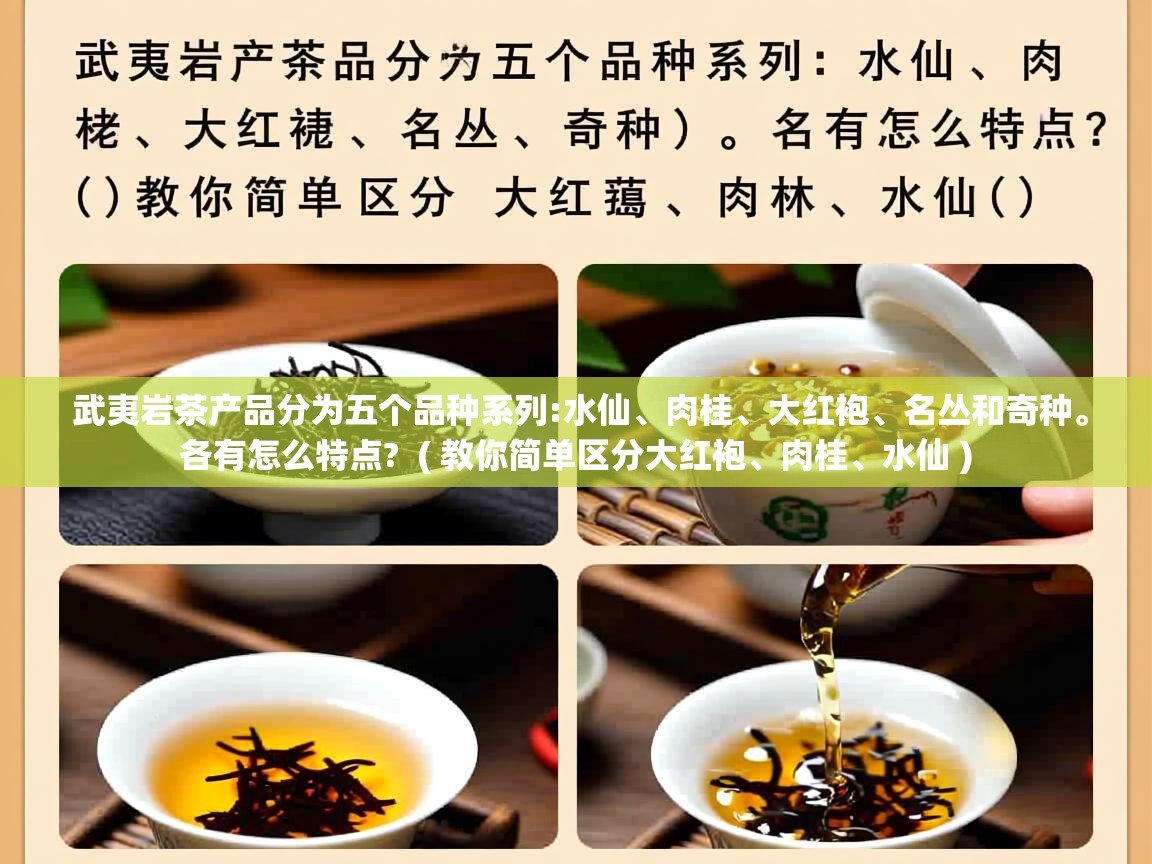  武夷岩茶产品分为五个品种系列:水仙、肉桂、大红袍、名丛和奇种。各有怎么特点?  ( 教你简单区分大红袍、肉桂、水仙 )