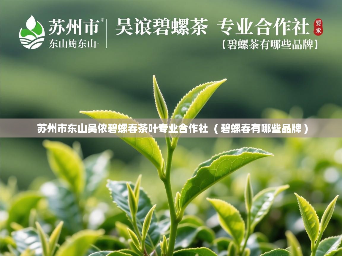  苏州市东山吴侬碧螺春茶叶专业合作社  ( 碧螺春有哪些品牌 )
