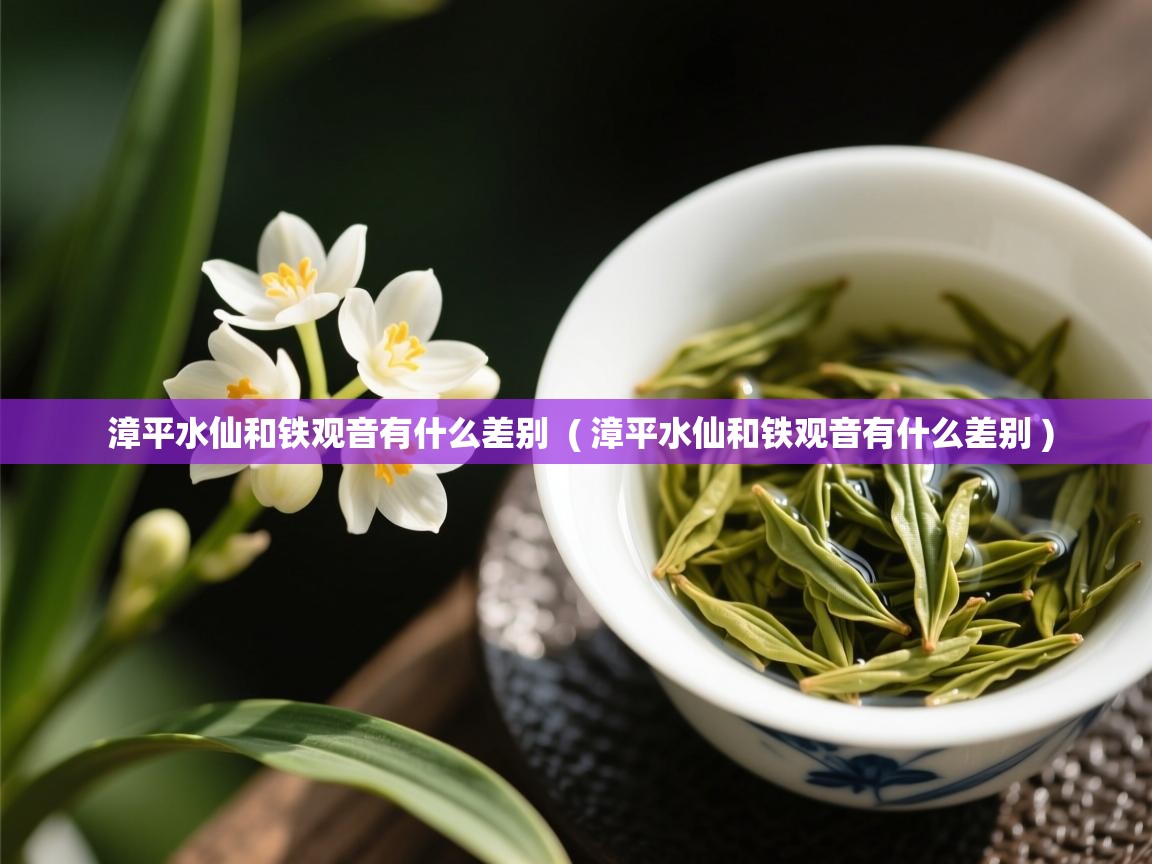 漳平水仙和铁观音有什么差别 ( 漳平水仙和铁观音有什么差别 ) 漳平水仙和铁观音有什么差别 ( 漳平水仙和铁观音有什么差别 )