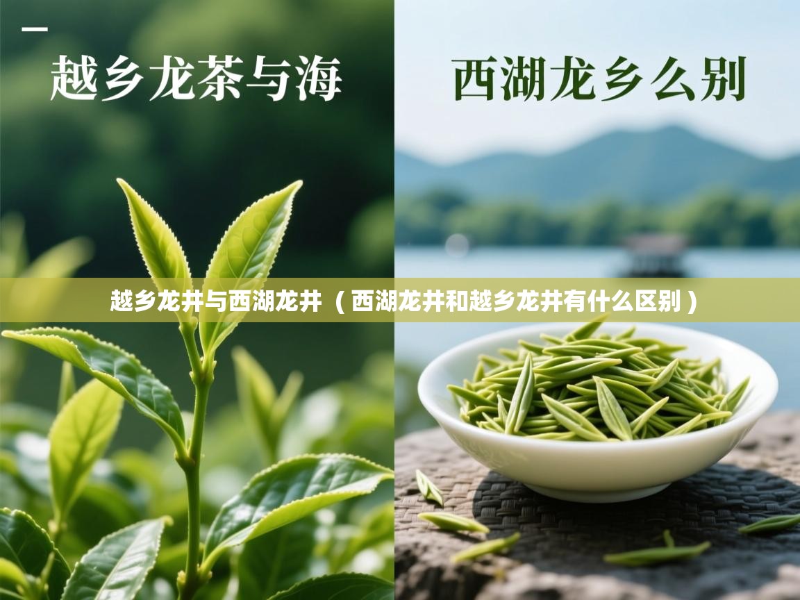 越乡龙井与西湖龙井 ( 西湖龙井和越乡龙井有什么区别 ) 越乡龙井与西湖龙井 ( 西湖龙井和越乡龙井有什么区别 )