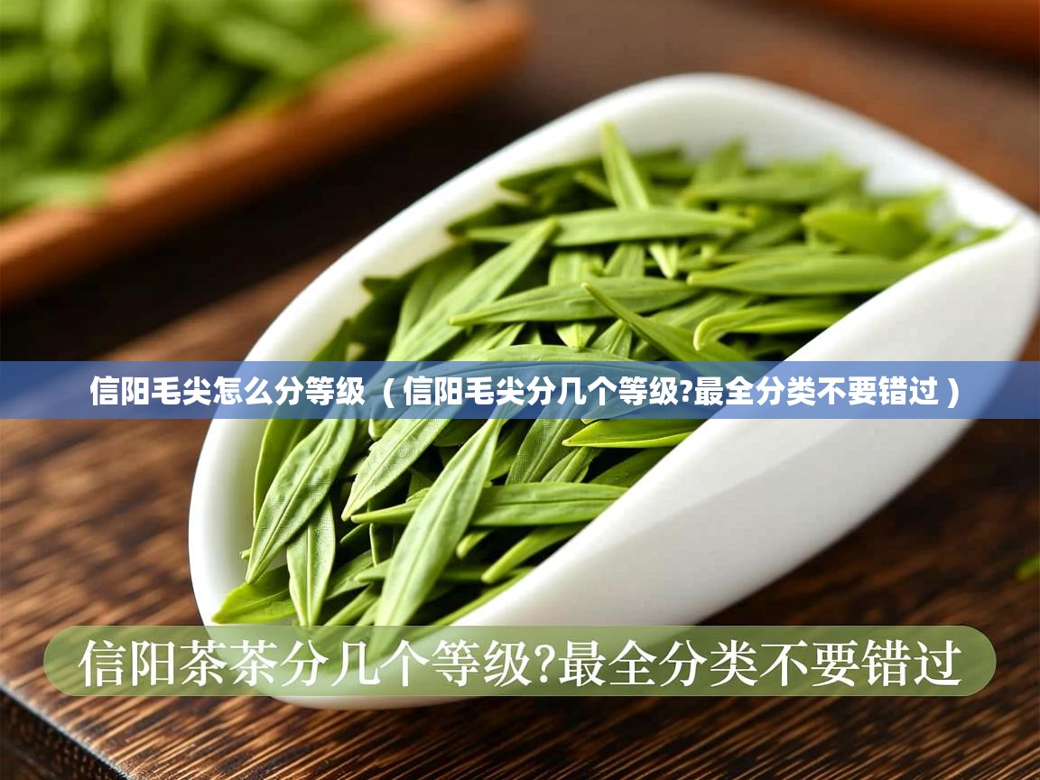  信阳毛尖怎么分等级  ( 信阳毛尖分几个等级?最全分类不要错过 )