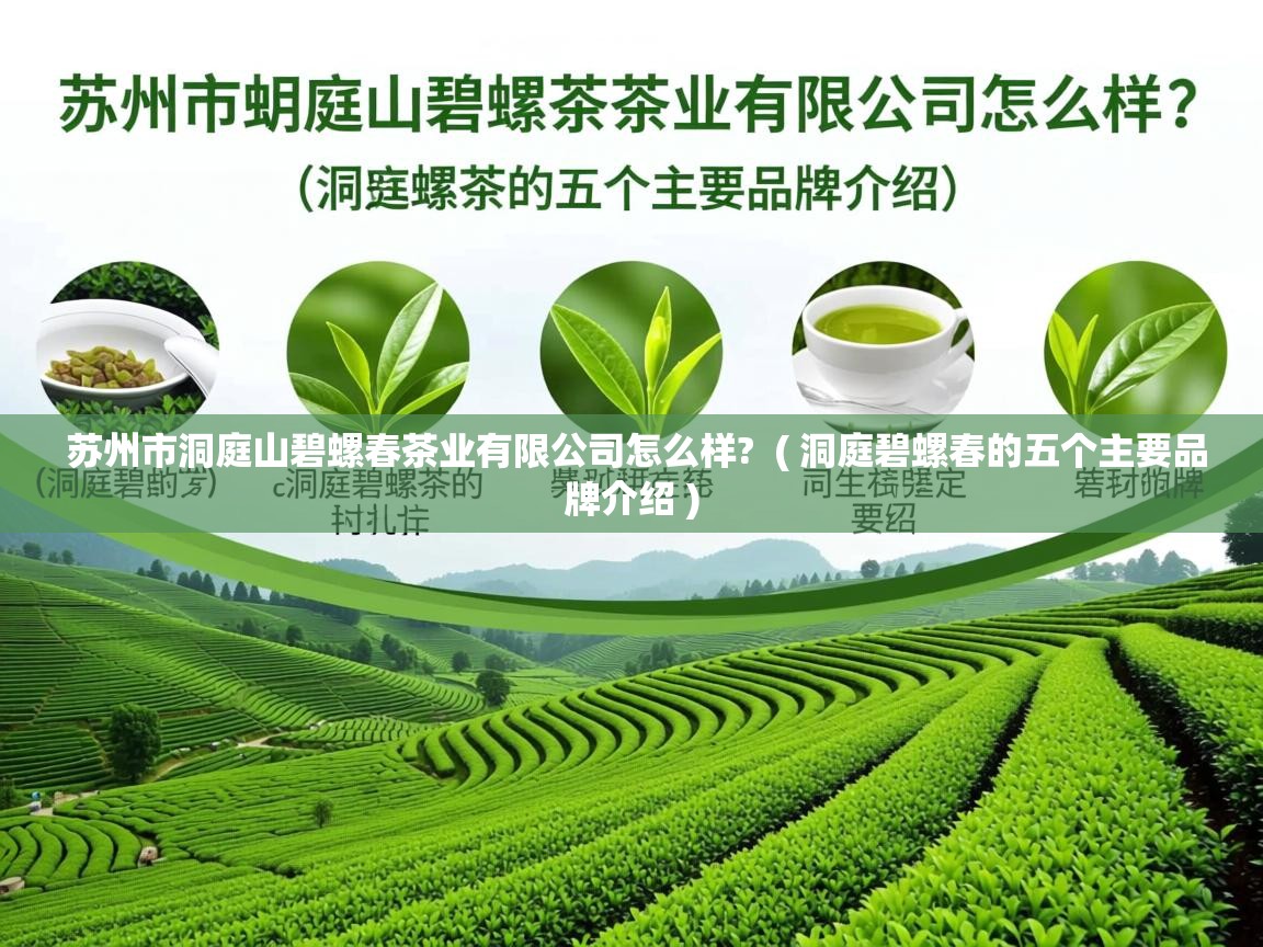  苏州市洞庭山碧螺春茶业有限公司怎么样?  ( 洞庭碧螺春的五个主要品牌介绍 )