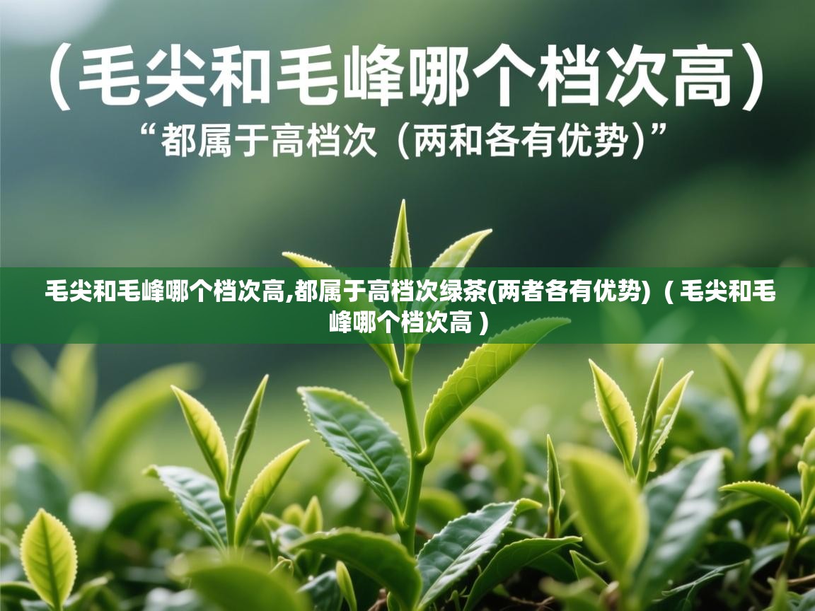  毛尖和毛峰哪个档次高,都属于高档次绿茶(两者各有优势)  ( 毛尖和毛峰哪个档次高 )