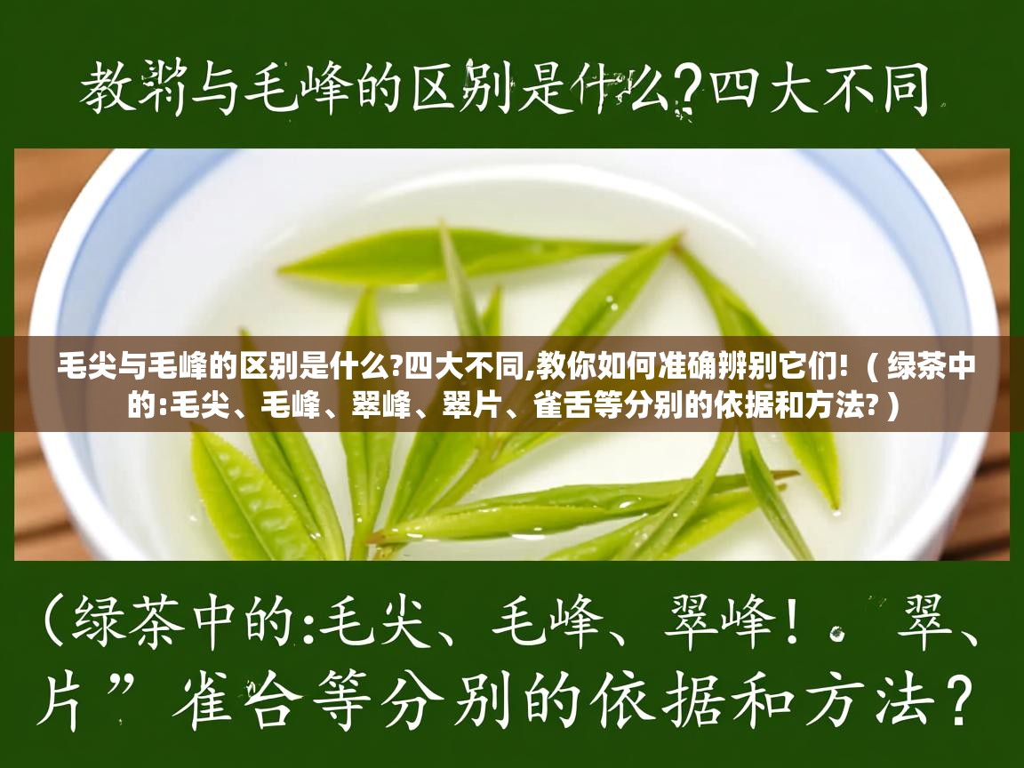  毛尖与毛峰的区别是什么?四大不同,教你如何准确辨别它们!  ( 绿茶中的:毛尖、毛峰、翠峰、翠片、雀舌等分别的依据和方法? )