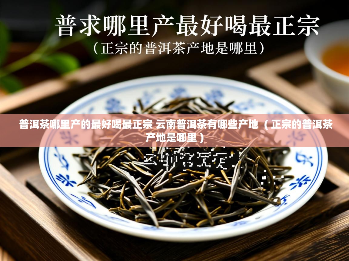  普洱茶哪里产的最好喝最正宗 云南普洱茶有哪些产地  ( 正宗的普洱茶产地是哪里 )