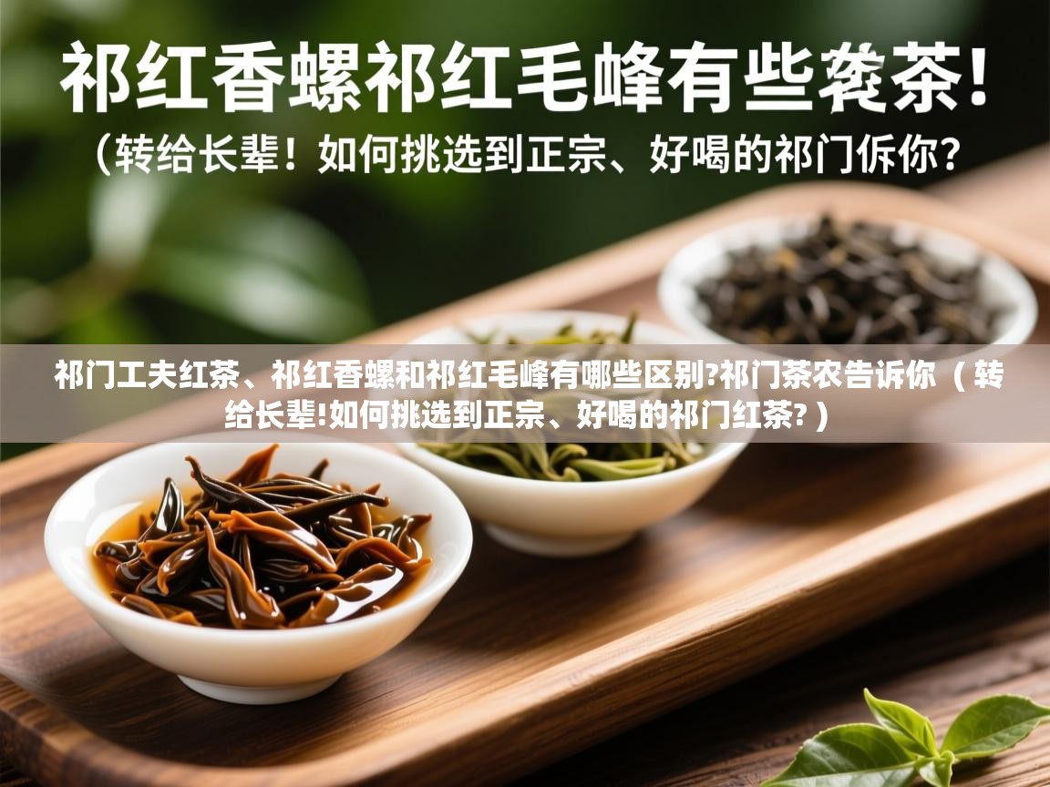  祁门工夫红茶、祁红香螺和祁红毛峰有哪些区别?祁门茶农告诉你  ( 转给长辈!如何挑选到正宗、好喝的祁门红茶? )