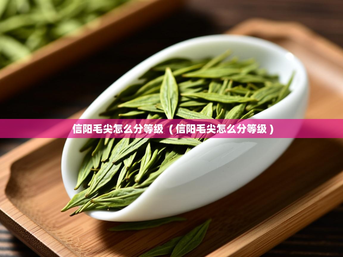  信阳毛尖怎么分等级  ( 信阳毛尖怎么分等级 )