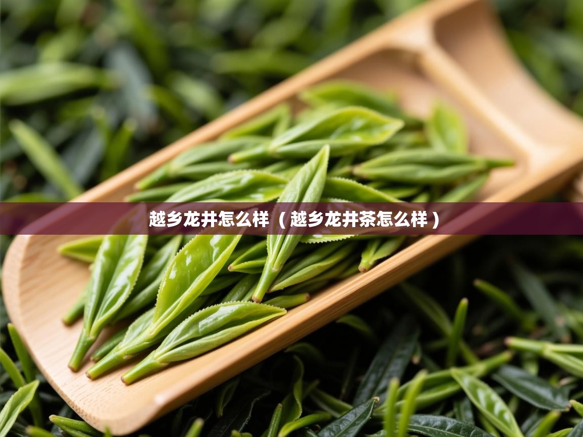 越乡龙井怎么样  ( 越乡龙井茶怎么样 )