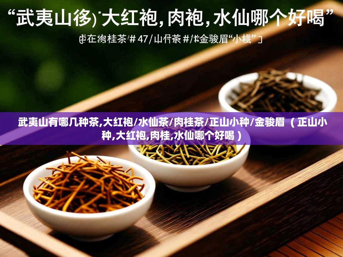  武夷山有哪几种茶,大红袍/水仙茶/肉桂茶/正山小种/金骏眉  ( 正山小种,大红袍,肉桂,水仙哪个好喝 )
