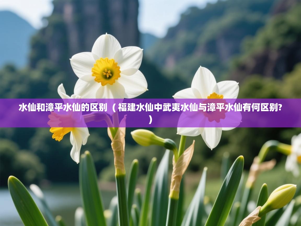  水仙和漳平水仙的区别  ( 福建水仙中武夷水仙与漳平水仙有何区别? )