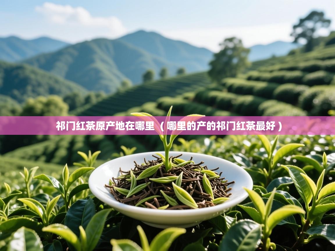  祁门红茶原产地在哪里  ( 哪里的产的祁门红茶最好 )