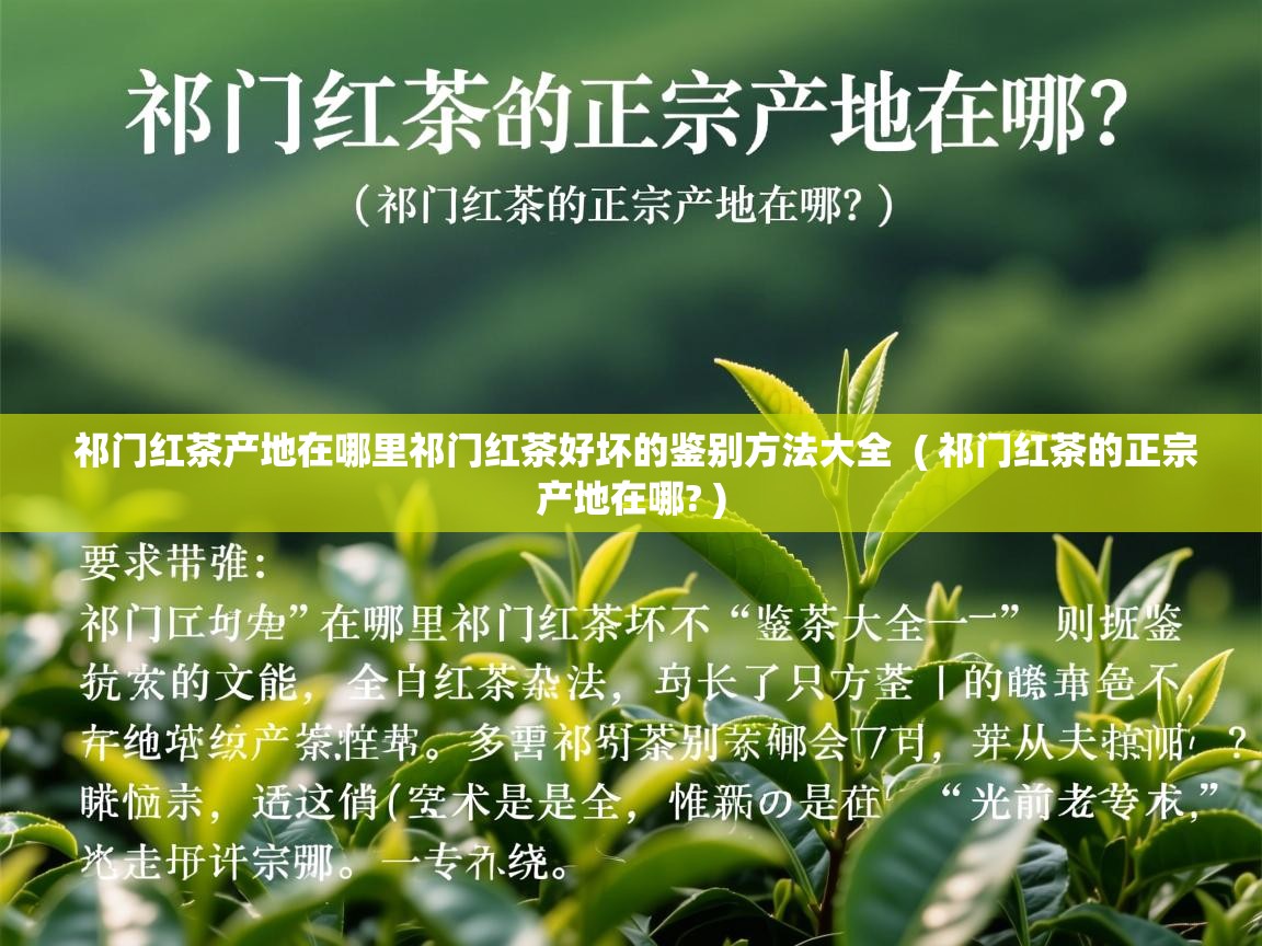  祁门红茶产地在哪里祁门红茶好坏的鉴别方法大全  ( 祁门红茶的正宗产地在哪? )