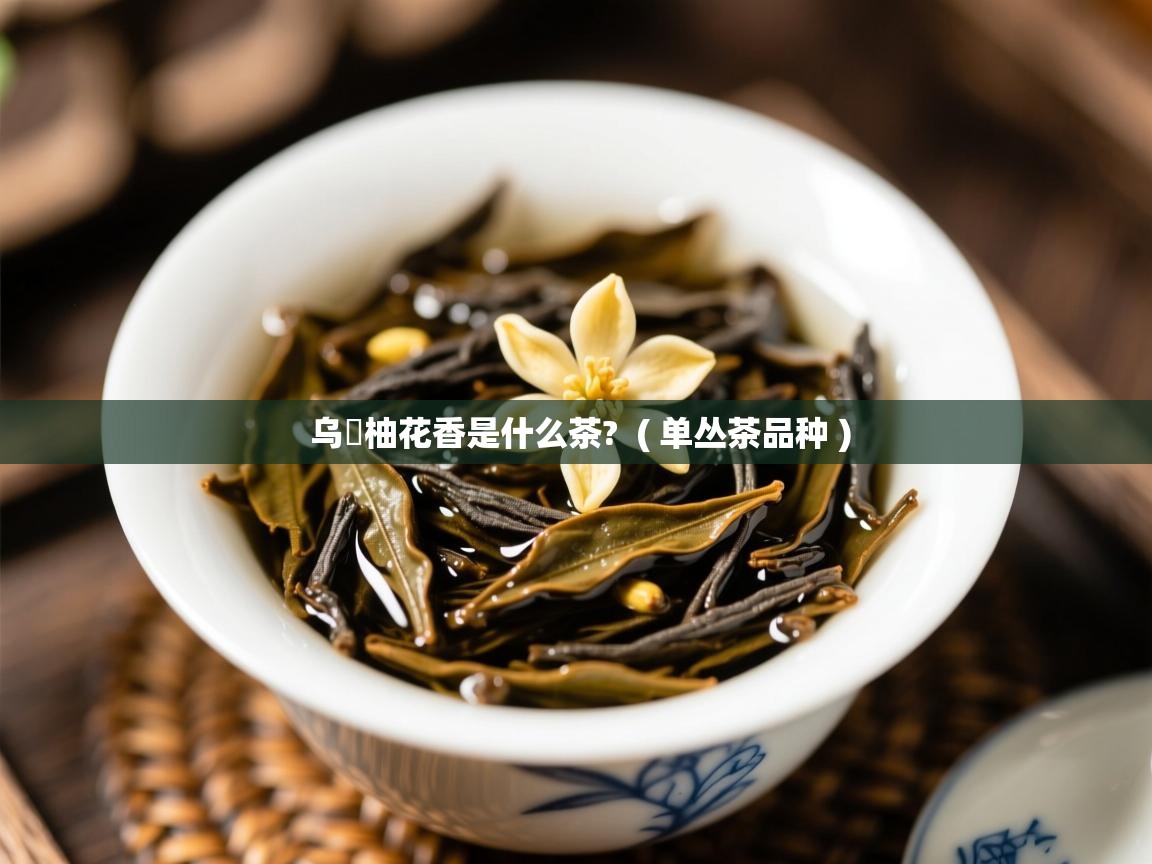 乌崠柚花香是什么茶? ( 单丛茶品种 ) 乌崠柚花香是什么茶? ( 单丛茶品种 )