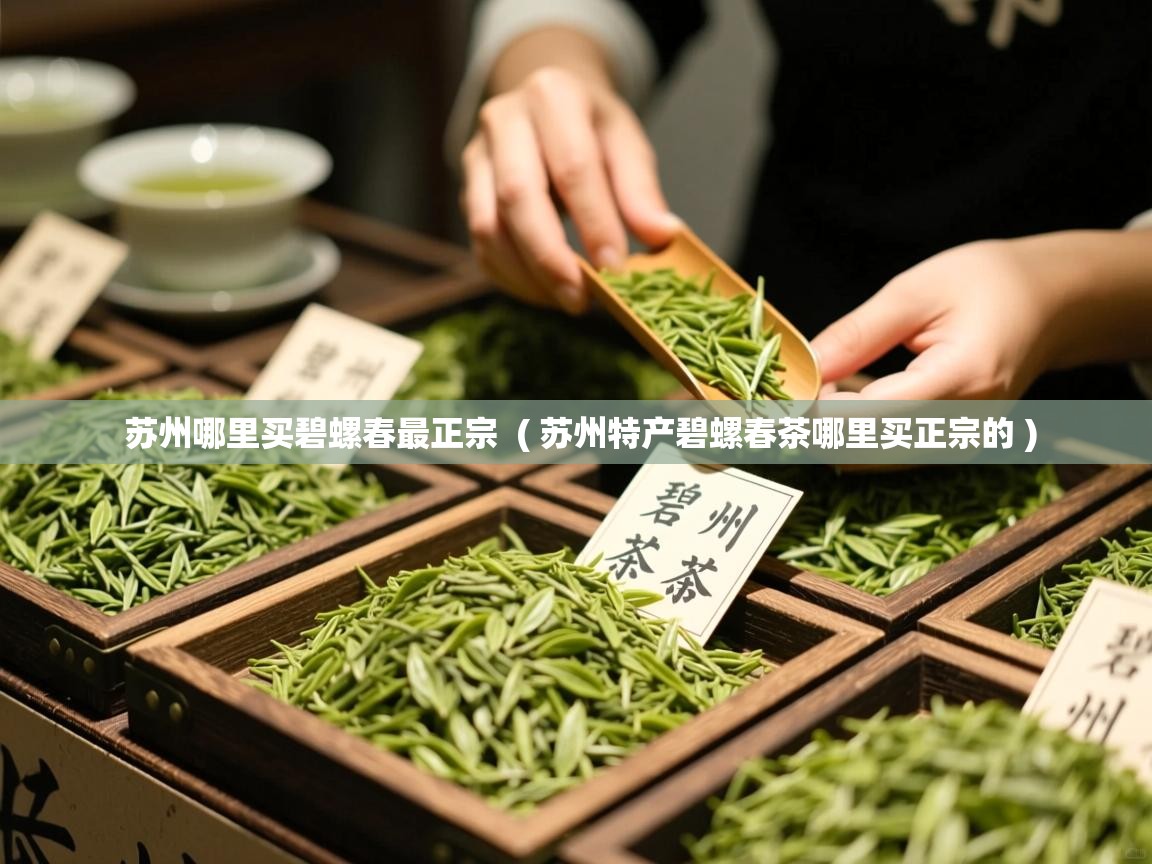 苏州哪里买碧螺春最正宗 ( 苏州特产碧螺春茶哪里买正宗的 ) 苏州哪里买碧螺春最正宗 ( 苏州特产碧螺春茶哪里买正宗的 )