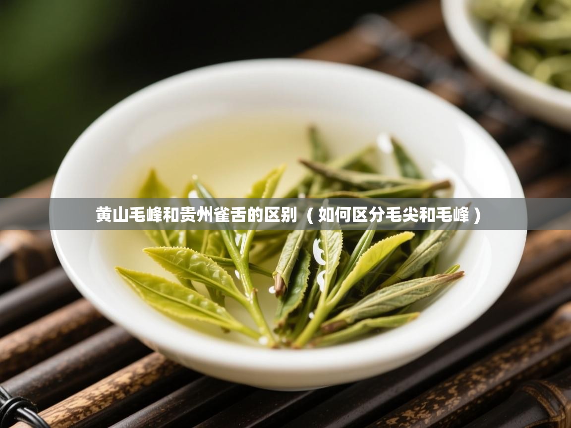  黄山毛峰和贵州雀舌的区别  ( 如何区分毛尖和毛峰 )