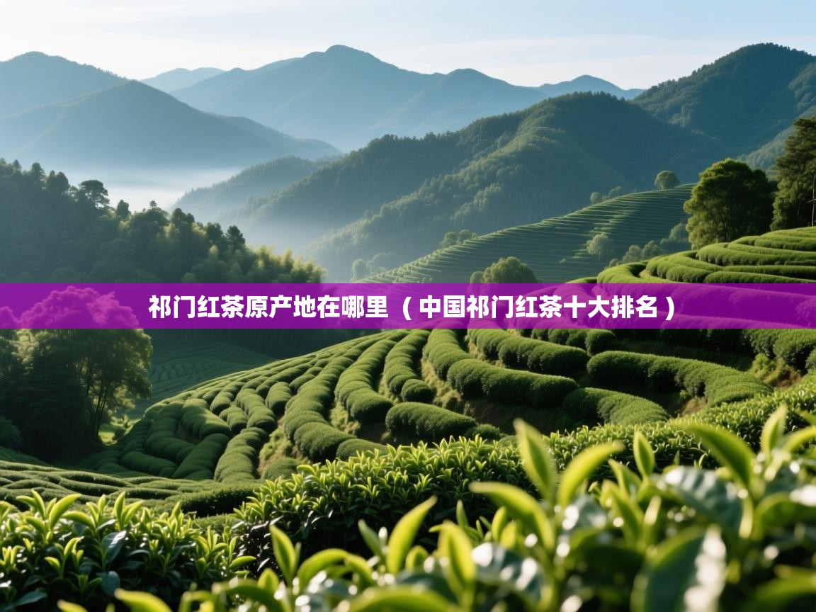  祁门红茶原产地在哪里  ( 中国祁门红茶十大排名 )